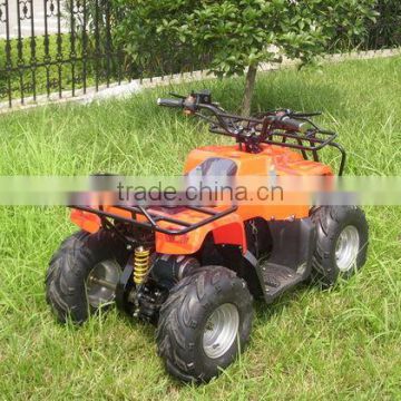 1000W 4 wheeler SX-E 1000 ATV-A