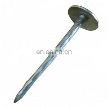Products made Q195 galvanized cheap roofing nails