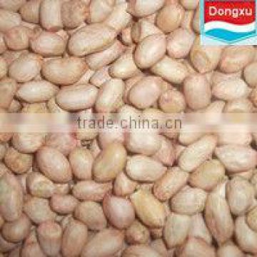 peanut kernels from china for export