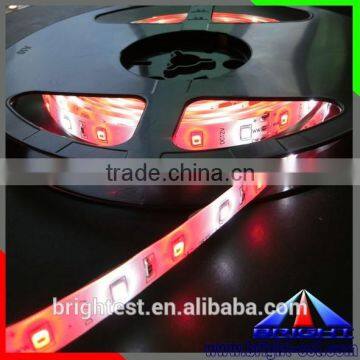 Light Pink And Purple Beads 2835 Led Strip, High Brightness SMD 2835 No Voltage Drop LED Strip