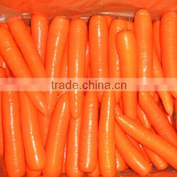 2016 new crop carrot