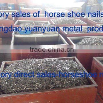 china factory professional quality steel horse shoe nails for sale