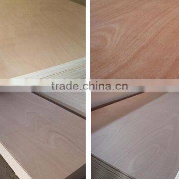 High Quality E1 Grade Birch Plywood for Furniture