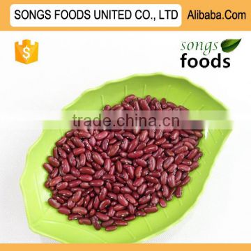 New Crop Clean Dark Red Kidney Beans