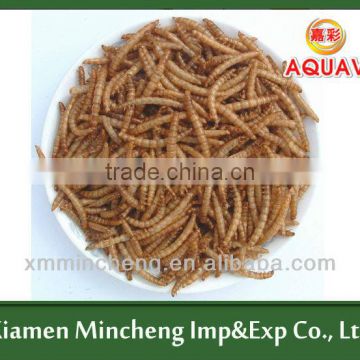 Microwave Dried Mealworm