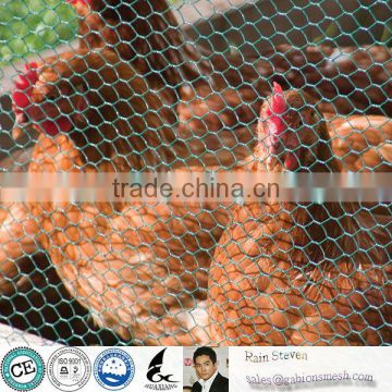 Anping Chicken Wire Factory/hexagonal wire netting/chicken wire mesh
