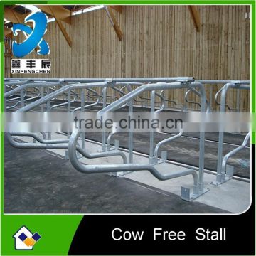 Hot dipped galvanized free stall for cow farm