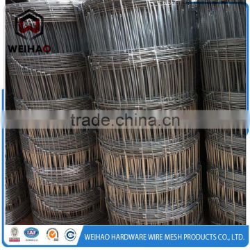 Hot sale Calf Hot Dipped Galvanized Field Metal/ Cattle Fence/goat fence