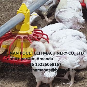 Libya Poultry Farming Equipment Automatic Broiler Floor Raising System & Chicken Deep Litter System with Automatic Drinking& Feeding System