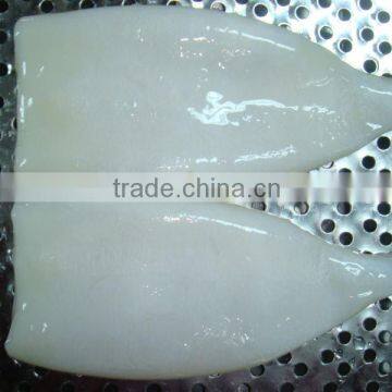 Squid Tube Fish with cheap price