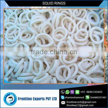 Hot Sale Natural Flavor Calamari Squid Rings