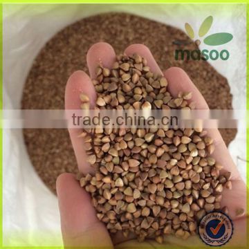2014 Crop Certified Organic Roasted Buckwheat                        
                                                Quality Choice