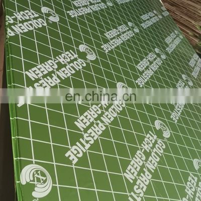 Plywood For Construction Use Full Birch Plywood 1220*2440*18mm Green PP Plywood