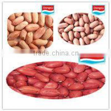 china peanut kernels