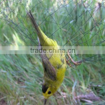 Mist net bird & bat capture net