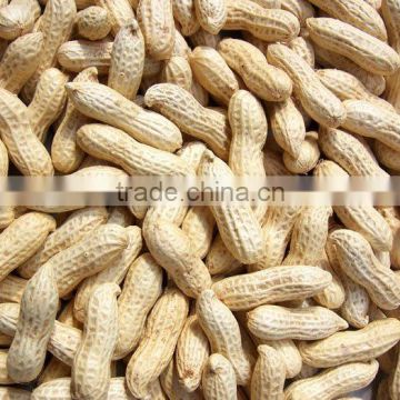 Good price good quality raw peanut with shell raw peanuts for sale