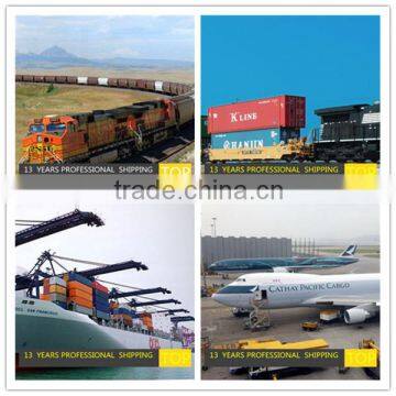 International freight transportation with low price to NEW DELHI India