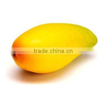 Sweet Chaunsa Mango