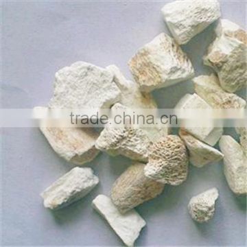 Large Amount Whole Sale Dry Herbs Chinese Ossa Draconis