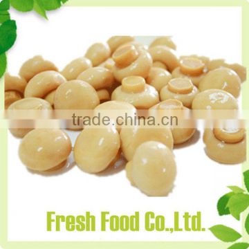 Supply china fujian bottom mushroom with certs