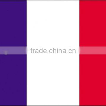 China Import and Export Fair Service/Translation Service in China