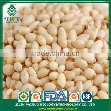 good price wholesale bulk dried Pine nuts