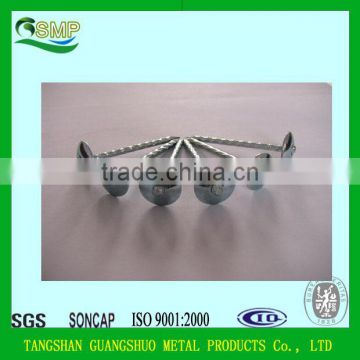 High Quality Galvanized Concrete nail / Roofing Nail