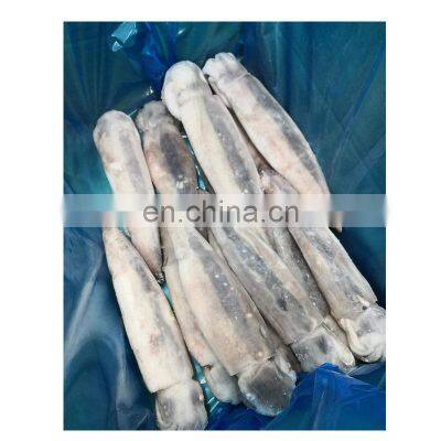 Best selling IQF frozen whole squid for export