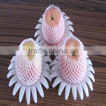Laizhou Zhentao New type fruit net packing like flower petal