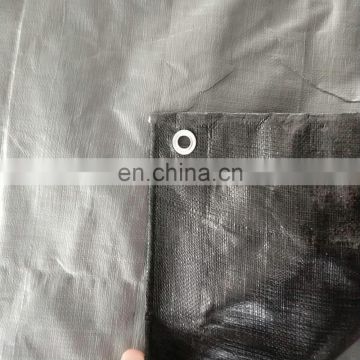 pe tarpaulin fabric ,waterproof pe fabric sheet from China
