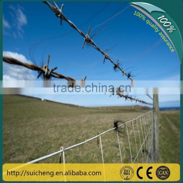 Guangzhou factory free sample secure barbed fence wire/ galvanized barbed wire/razor wire
