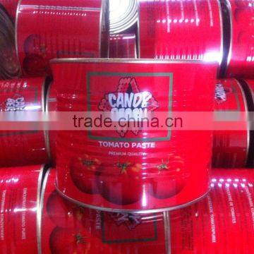 Thick Pasty Tomato Paste in can 2200gram