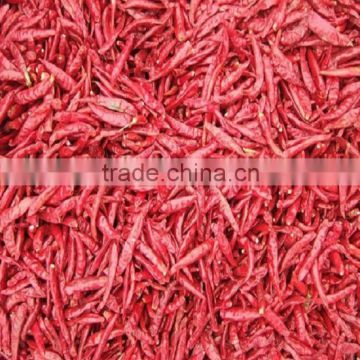 2012 Best selling of hot chaotian chili