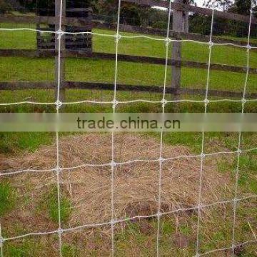 Wire Mesh Fence for sale(manufacturer)