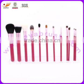 12pcs Professional Makeup Brush Set