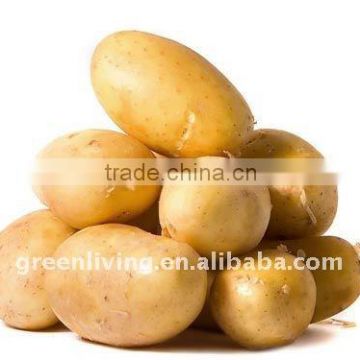 150g fresh potato