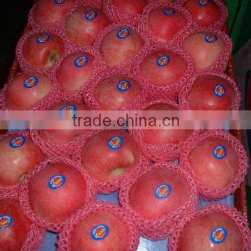 New Crop Fresh Fuji Apple/all kinds of pack