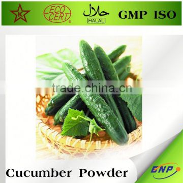 Factory Supply Organic Cucumber Powder