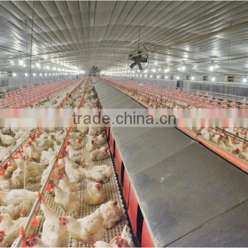 high quality low price automatic poultry house feeders for parents chicken