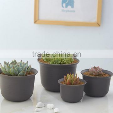 Home Garden Wholesale Tabletop Succulent Plant vase Flower Pot