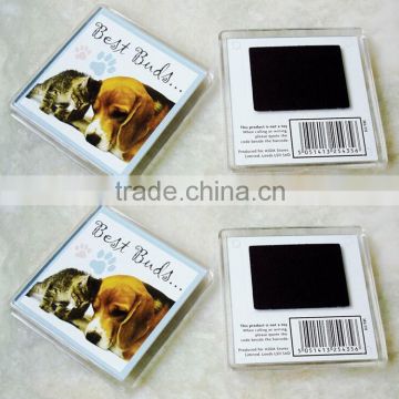 Souvenir Gift Customized Promotional Acrylic Fridge Magnets