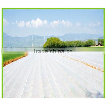 30gsm Nonwoven fabric for Agriculture