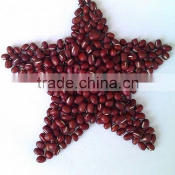 Organic Adzuki Bean( 2011 crop,heilongjiang origin, Hps ,Polished)