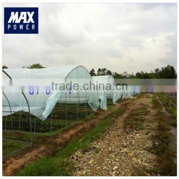 good quality vegetable tunnel greenhouse