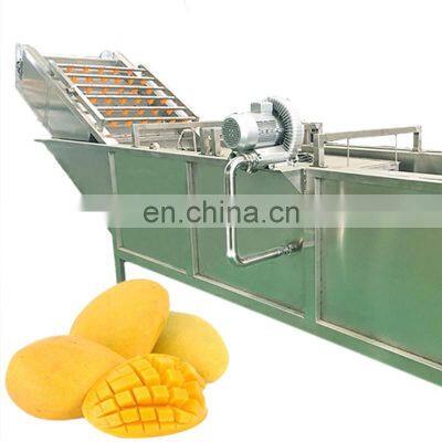 Automatic fresh fruit processing mango pulp manufacturing process