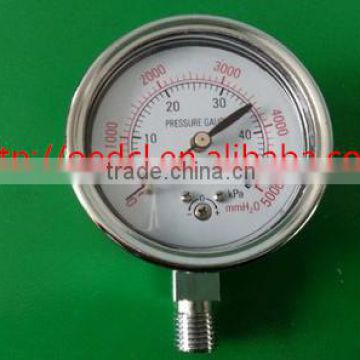 Capsule pressure gauge YE-60
