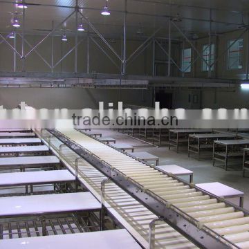 Meat Cutting and Deboning Line