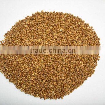 2013 Roasted buckwheat