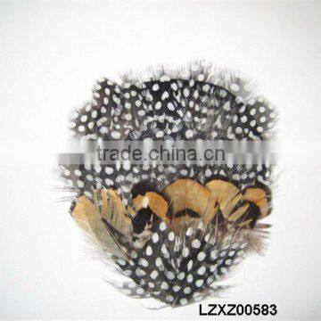 Guinea Fowl mixed feather pad LZXZ00583