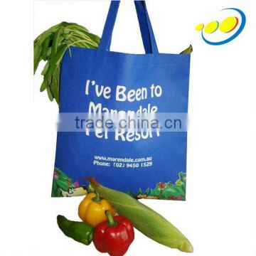 Shopping eco friendly bags for food packaging